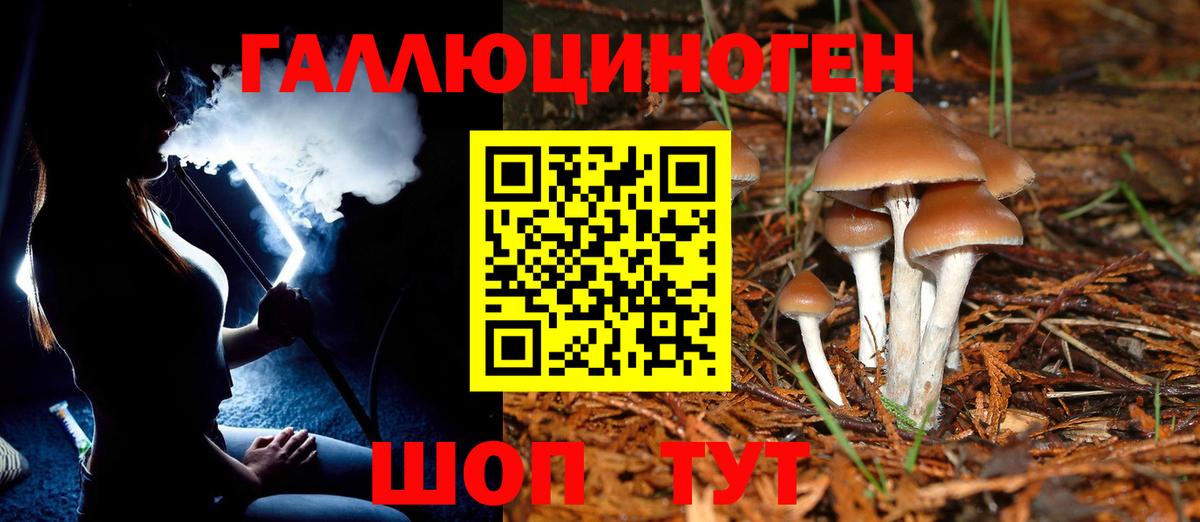 закладка  Вход с VPN  Галлюциногенные грибы Psilocybine cubensis  Коломна  Псилоцибиновые грибы Cubensis 